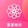 加速器布谷鸟用不了