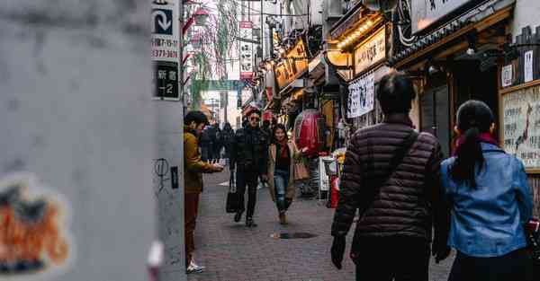 海豚湾官方旗舰店