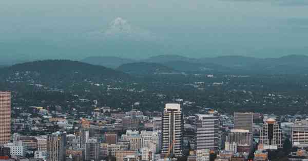4升空气炸锅专用纸垫