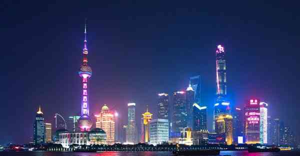 surf下载
